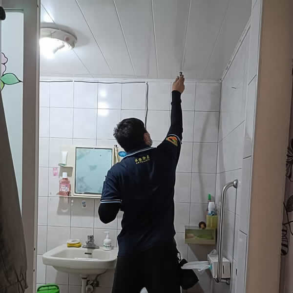 發現白蟻勿急用殺蟲劑