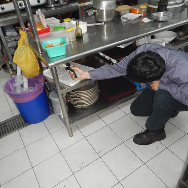 如何有效預防蟑螂