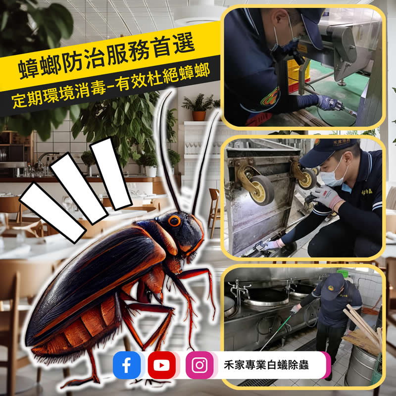 蟑螂防治服務首選，定期環境消毒，有效杜絕蟑螂