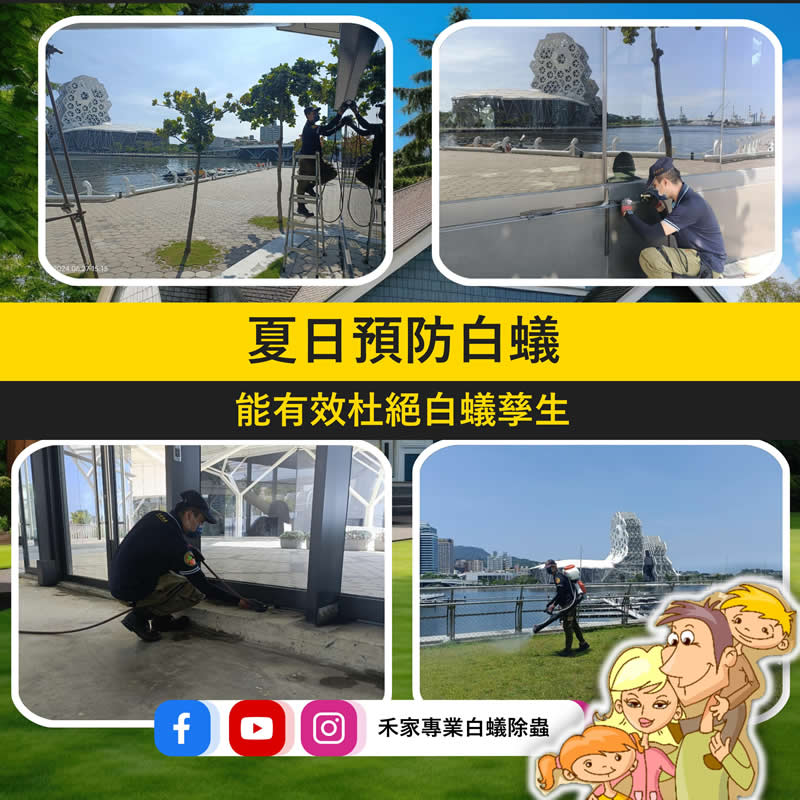 夏日預防白蟻，有效杜絕白蟻孳生