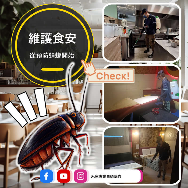 維護食安從預防蟑螂開始，找禾家最安心