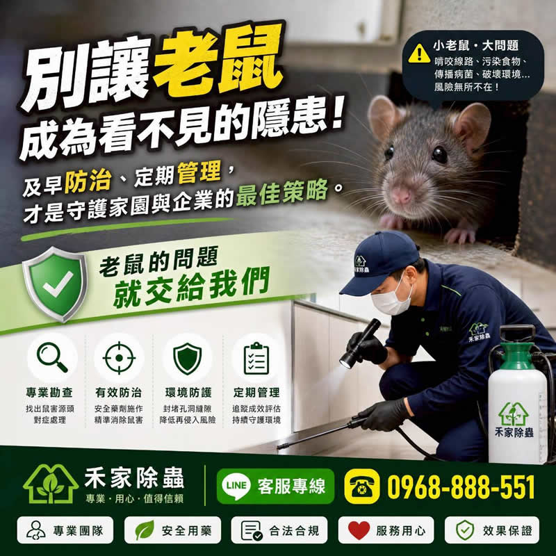 夏日預防白蟻，有效杜絕白蟻孳生