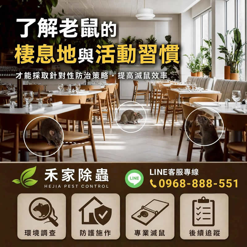 夏日預防白蟻，有效杜絕白蟻孳生