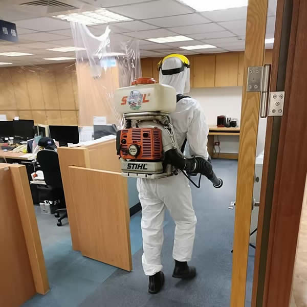 企業商辦大樓除蟲專業服務