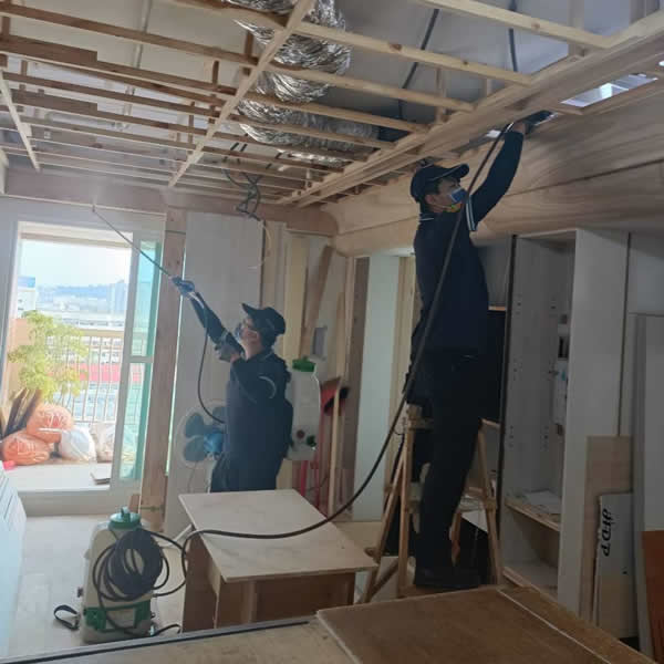 裝潢建材除蟲專業服務