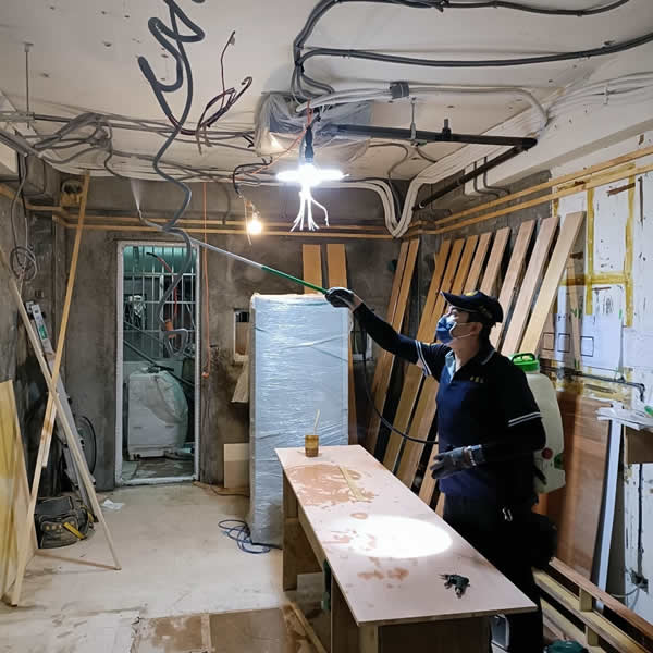 高雄新成屋白蟻蟲害防治