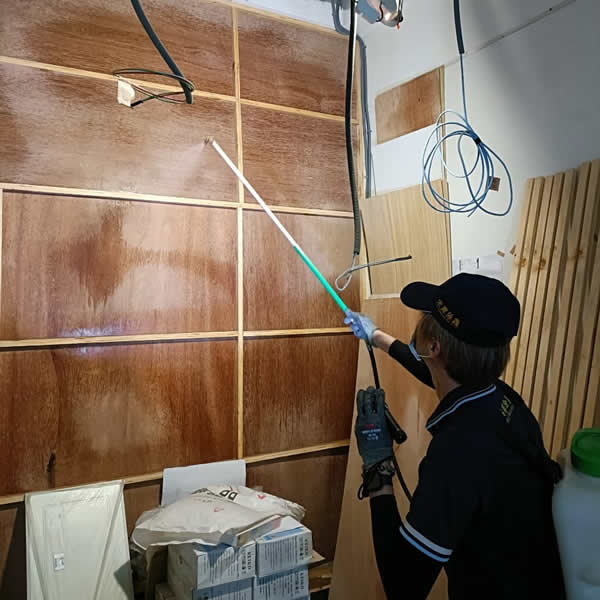 高雄新成屋白蟻蟲害防治
