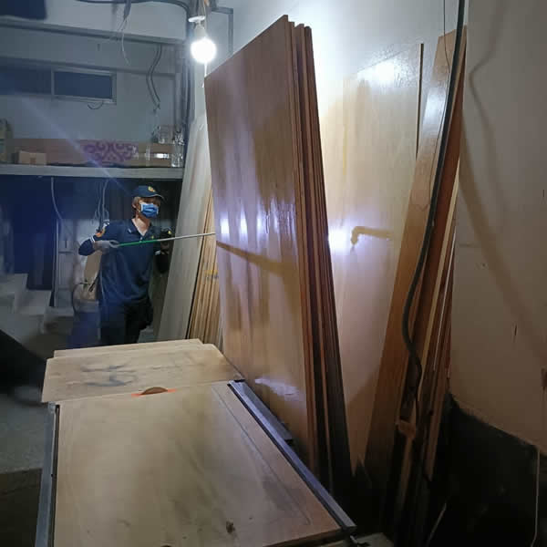 高雄新成屋白蟻蟲害防治