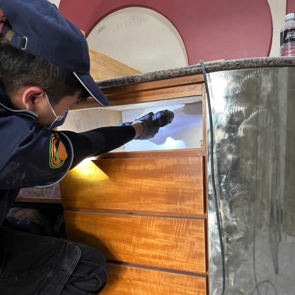 高雄新成屋白蟻蟲害防治