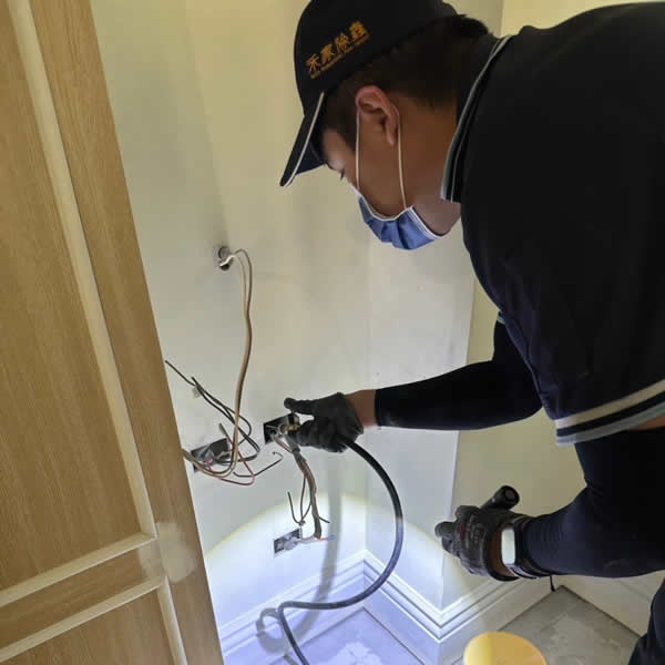 高雄新成屋白蟻蟲害防治