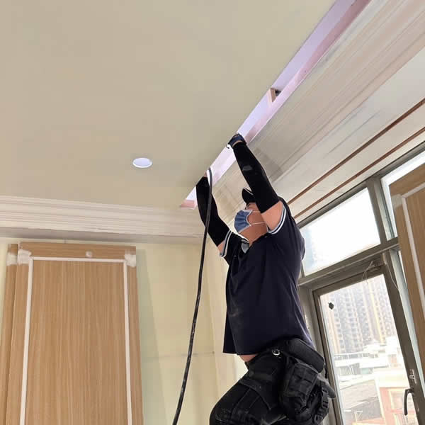 高雄新成屋白蟻蟲害防治