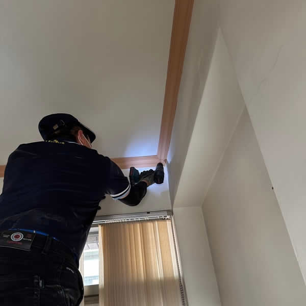 高雄新成屋白蟻蟲害防治