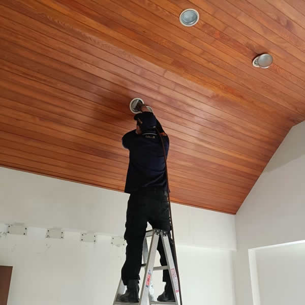 新屋裝潢除蟲環境防治