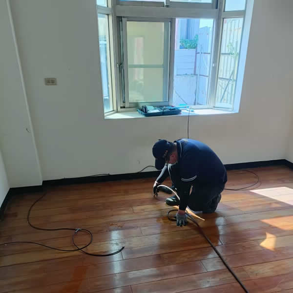 高雄新成屋白蟻蟲害防治