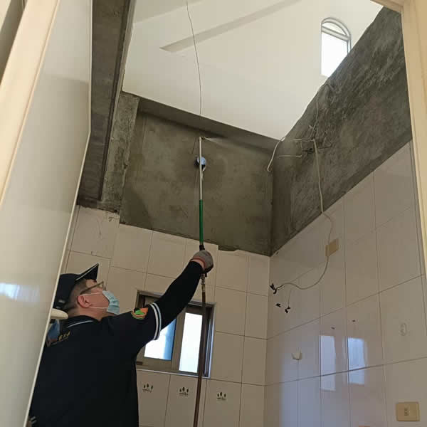 高雄新成屋白蟻蟲害防治