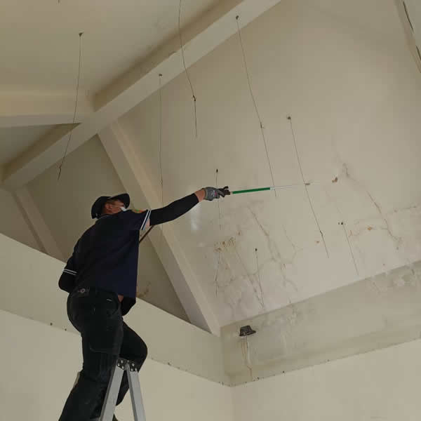 高雄新成屋白蟻蟲害防治