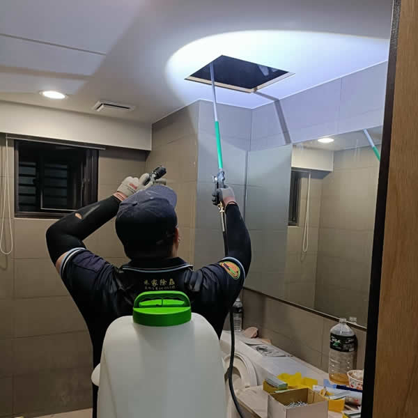 高雄新成屋白蟻蟲害防治