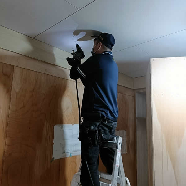 高雄新成屋白蟻蟲害防治
