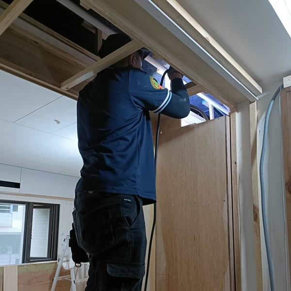 高雄新成屋白蟻蟲害防治