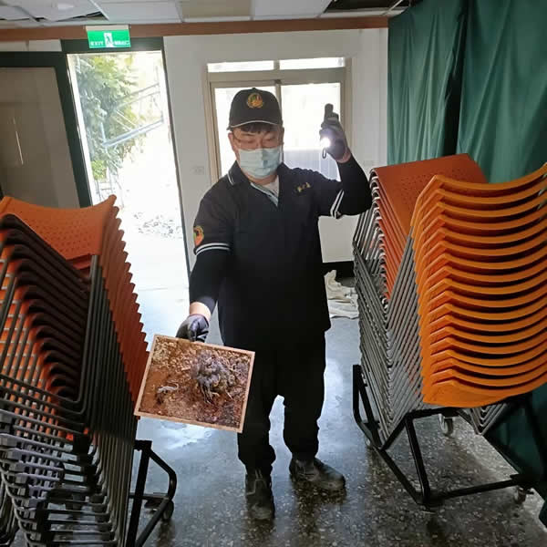 高雄化學公司老鼠蟲害防治