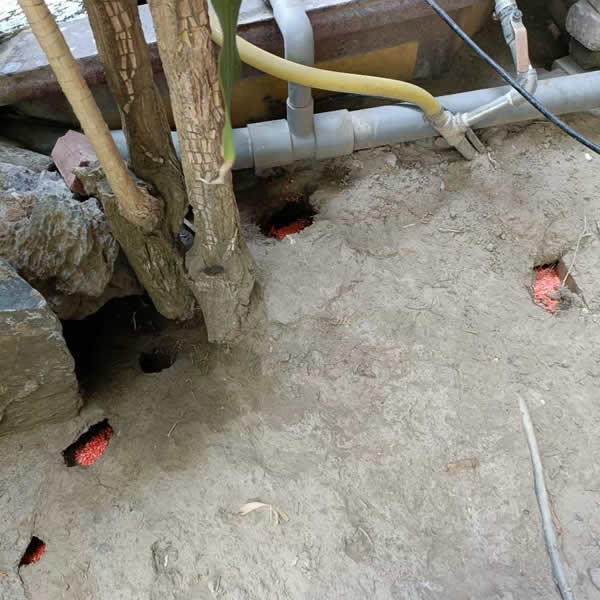 高雄化學公司老鼠蟲害防治