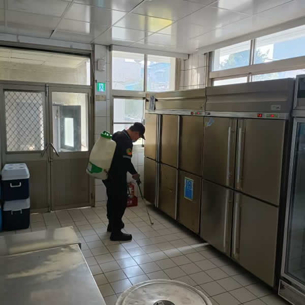 高雄公司餐廚部門蟑螂蟲害防治