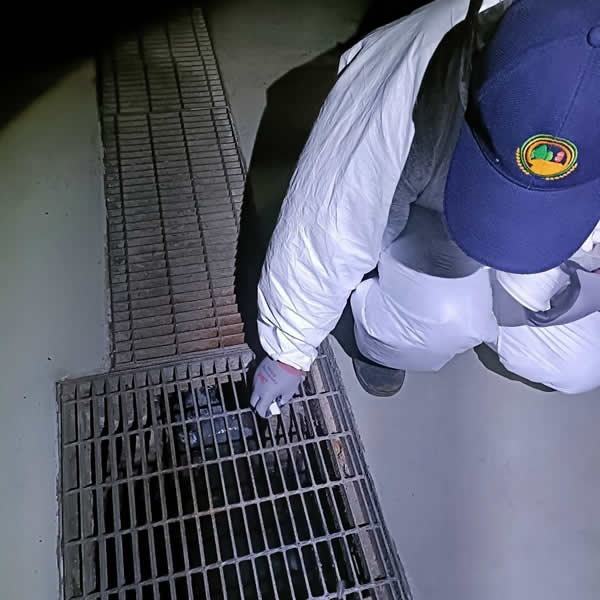 高雄車廠蚊蠅蟲害防治