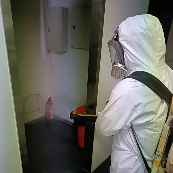 高雄車廠蚊蠅蟲害防治