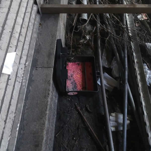 高雄商用辦公室老鼠蟲害防治