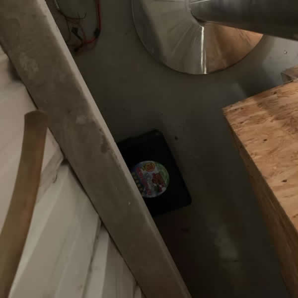 高雄商用辦公室老鼠蟲害防治