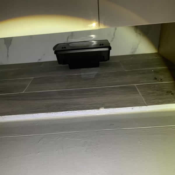 高雄商用辦公室老鼠蟲害防治