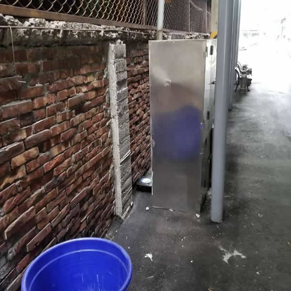 高雄商用辦公室老鼠蟲害防治