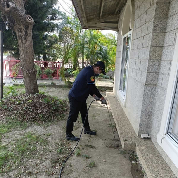 高雄住家環境白蟻蟲害防治