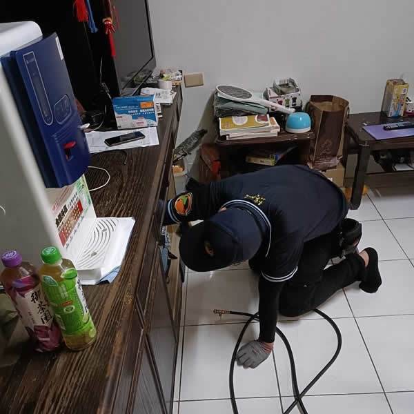 高雄住家環境白蟻蟲害防治