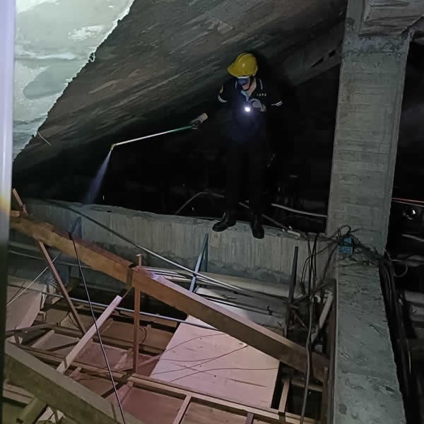 高雄住家環境白蟻蟲害防治