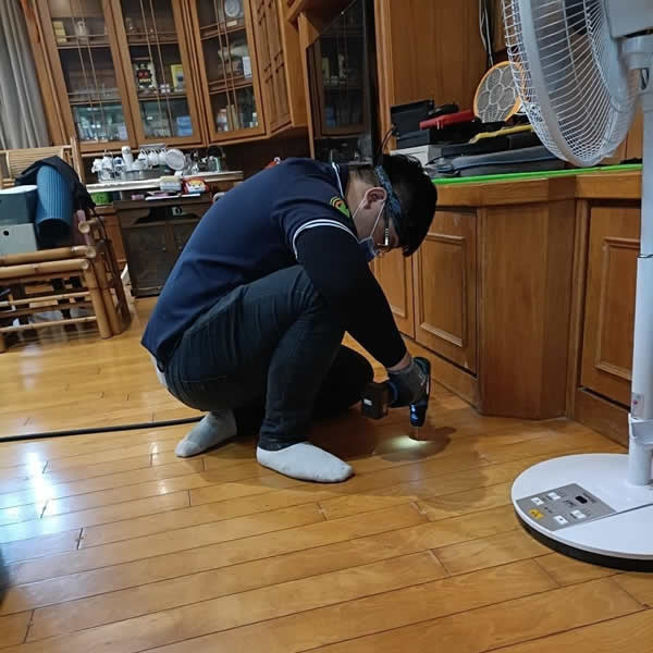 高雄住家環境白蟻蟲害防治