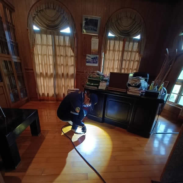 高雄住家環境白蟻蟲害防治