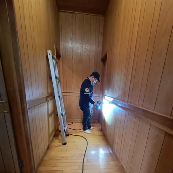 高雄住家環境白蟻蟲害防治