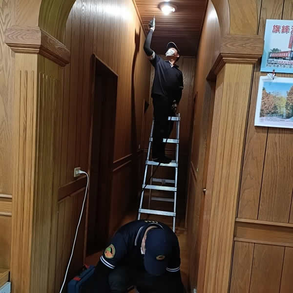 高雄住家環境白蟻蟲害防治