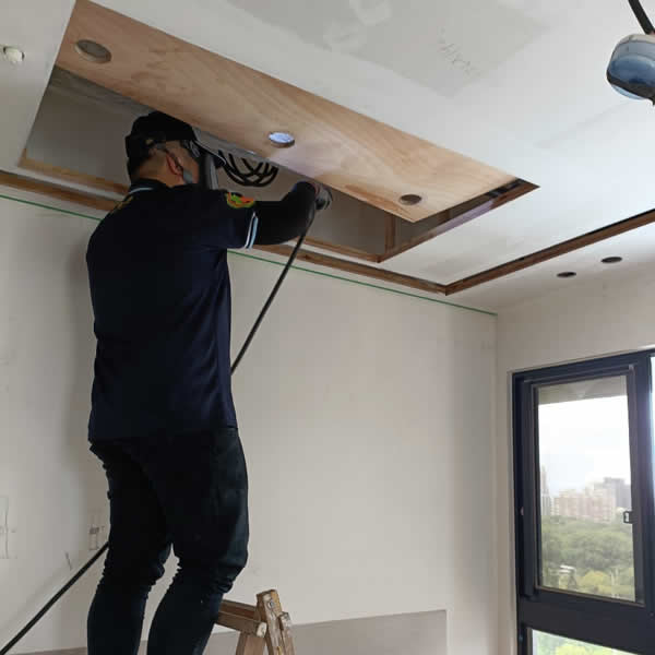 高雄新屋裝潢白蟻蟲害防治