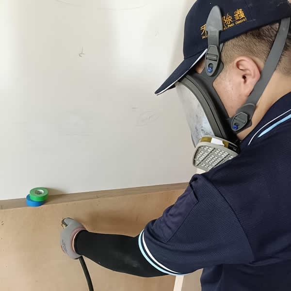 高雄新屋裝潢白蟻蟲害防治