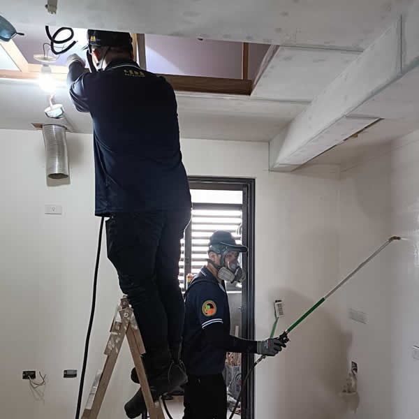 高雄新屋裝潢白蟻蟲害防治