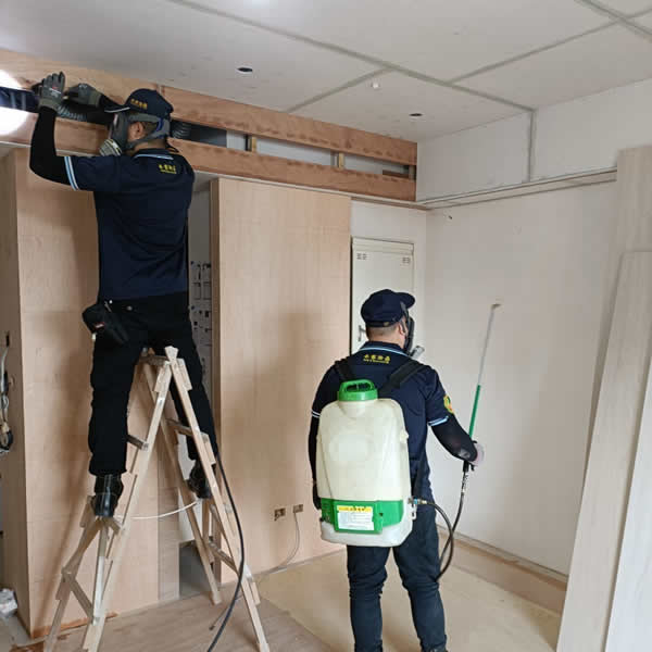 高雄新屋裝潢白蟻蟲害防治