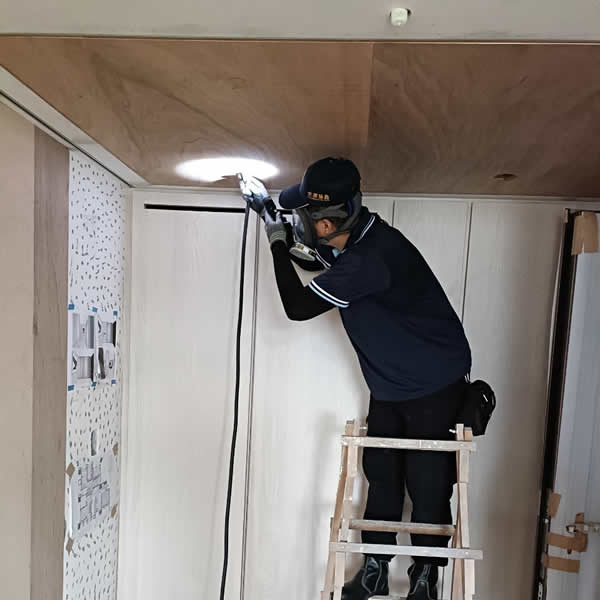 高雄新屋裝潢白蟻蟲害防治