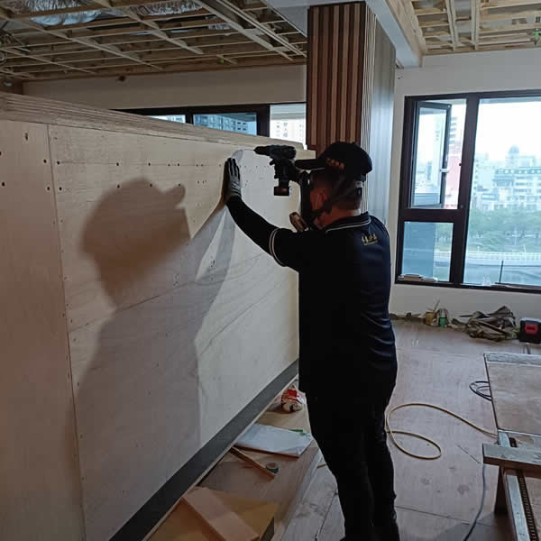 高雄新屋裝潢白蟻蟲害防治