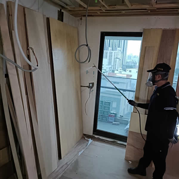 高雄新屋裝潢白蟻蟲害防治