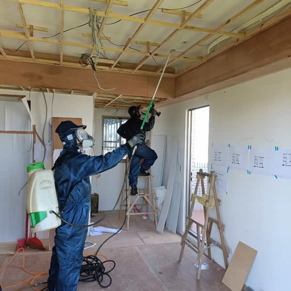 高雄新屋裝潢白蟻蟲害防治