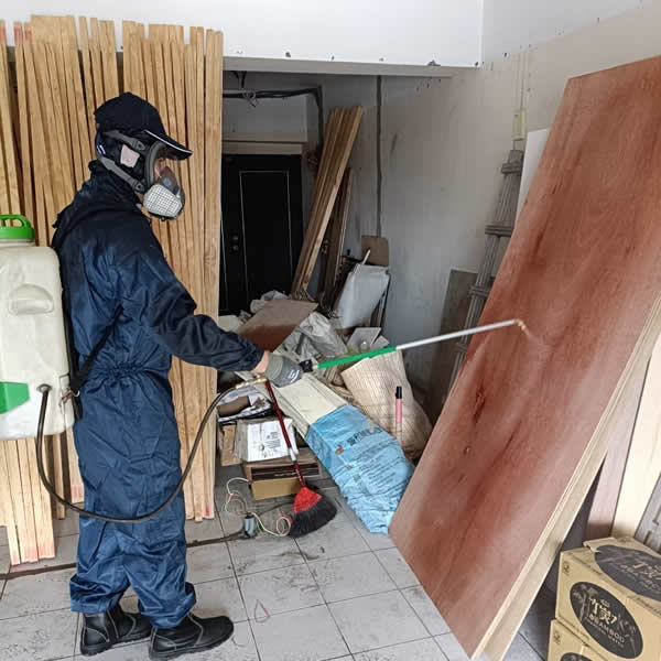 高雄新屋裝潢白蟻蟲害防治