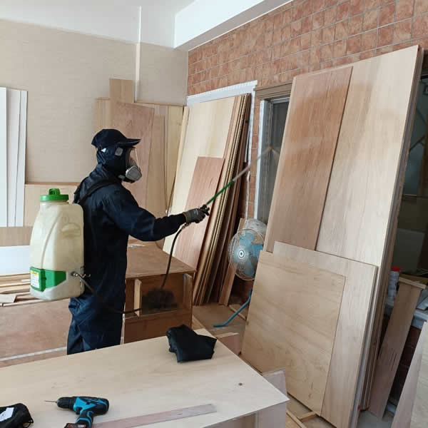 高雄新屋裝潢白蟻蟲害防治