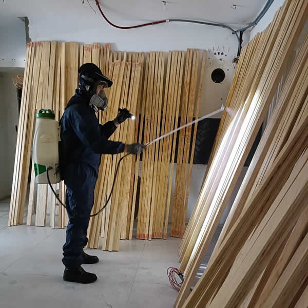 高雄新屋裝潢白蟻蟲害防治